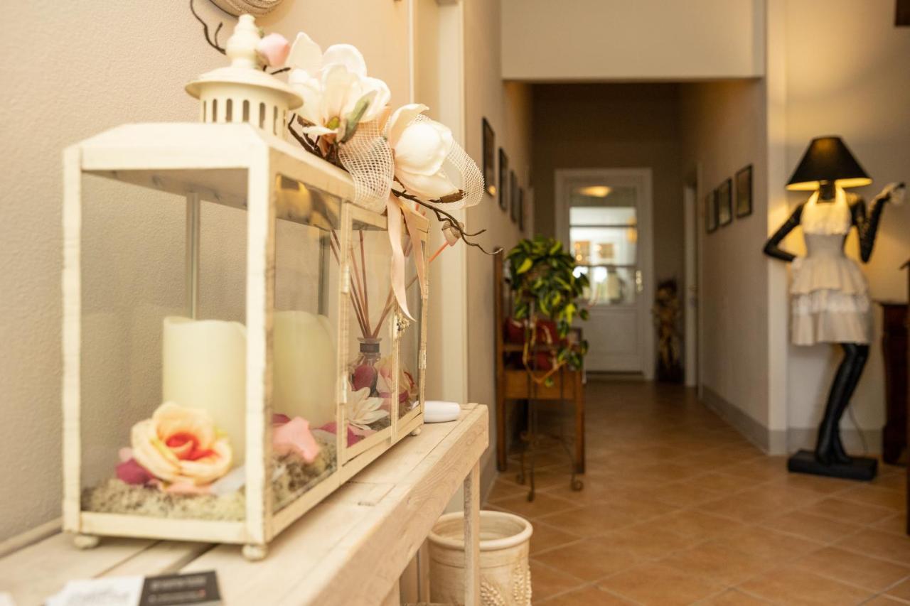 Vecchio Granaio Bed & Breakfast Pisa Exterior photo